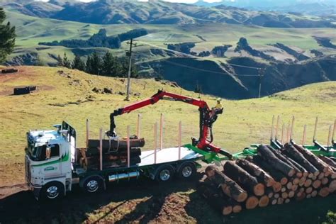 Logging Archives Mills Tui