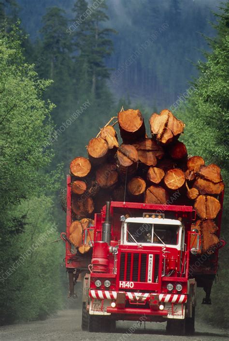 Logging Truck Loaded With Logs Stock Image E760 0059 Science