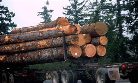 Logs Log Truck American Made Trees Tags Highway 5 Wa Flickr