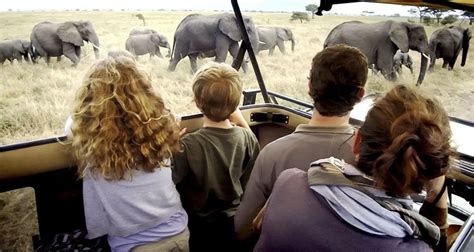 Luxury African Family Safaris Made For You