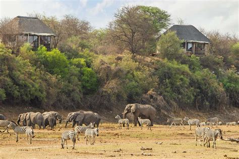 Luxury African Safari Itineraries Custom Designed Tours In Africa