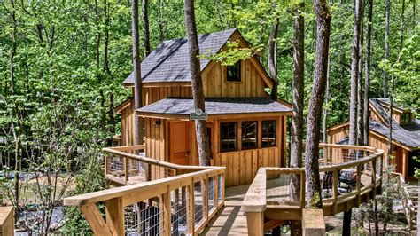 Luxury Escapes With Nelson Treehouse Rentals Your Ultimate Nature Retreat