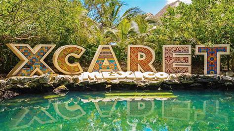 M Xico Parque Xcaret En Riviera Maya Obtiene R Cord Guinness Por Su Programa De Crianza De