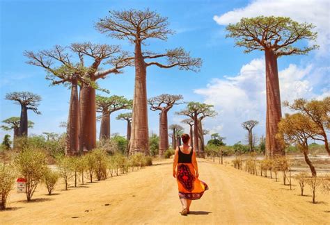 Madagascar Travel Guide Essential Facts And Information