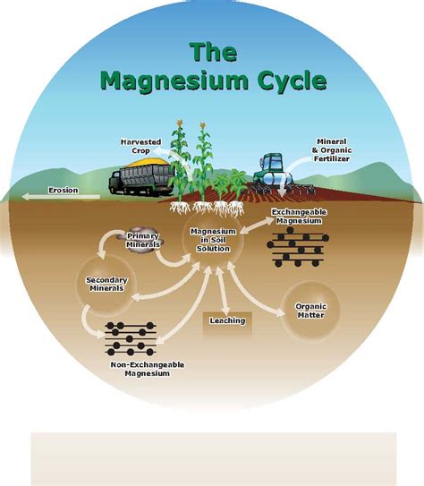 Magnesium for Soil Health on the Go