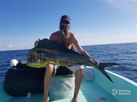 Mahi Catch Destin Fishing Report Fishingbooker