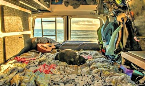 Man Quits His Job Travels 31 000 Miles In A Renovated Van With His Cat