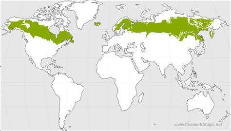 Maps Of Taiga Biomes