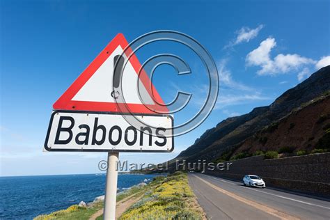 Marcel Huijser Photography Road Ecology Blog Warning Signs Goi S