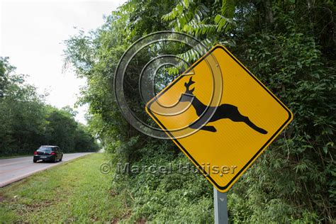 Marcel Huijser Photography Road Ecology Blog Wildlife Warning Sign