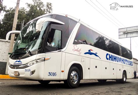 Maxibuses Transportes Chihuahuenses