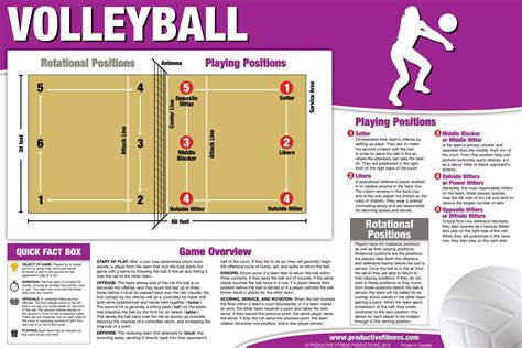 Meaning Of Volleyball Game At Mitchell Miller Blog