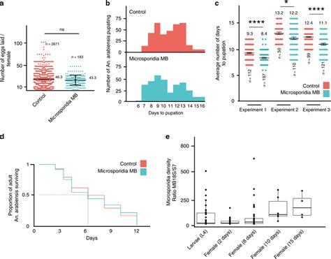 Microsporidia Mb Does Not Overtly Decrease Host Fitness A