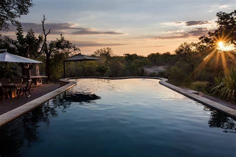 Milima Big 5 Safari Lodge Pool Pictures Reviews Tripadvisor