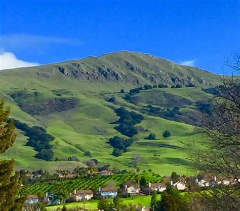 Mission Peak Regional Preserve Fremont 2020 All You Need To Know