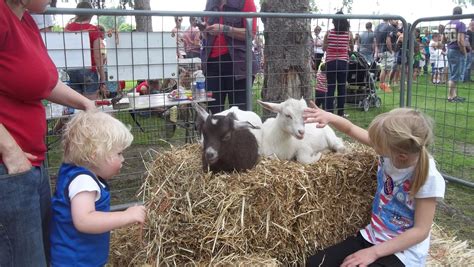 Mobile Petting Zoo Erickson S Petting Zoo