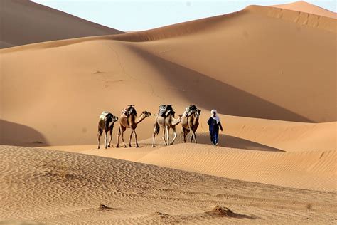 Morocco Travel Packages