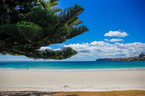 Most Beautiful Beaches In Tasmania In 2024 Best Beaches