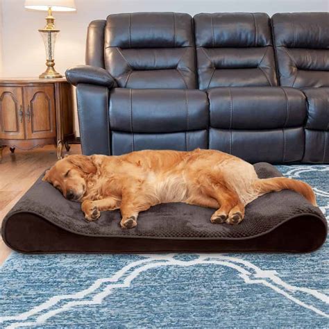 Most Comfortable Dog Bed In The World At Jimmy Lewis Blog