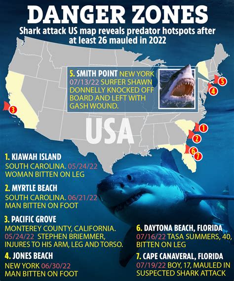 Most Shark Attacks In Florida Beaches At Pamula Hilson Blog