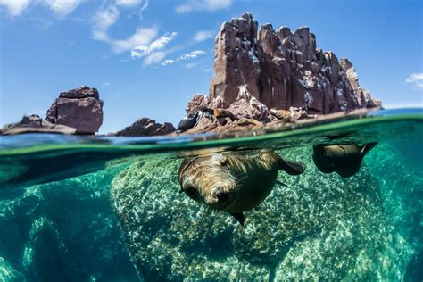 My Best Travel Discovery Of 2016 Baja California Adventure Travel