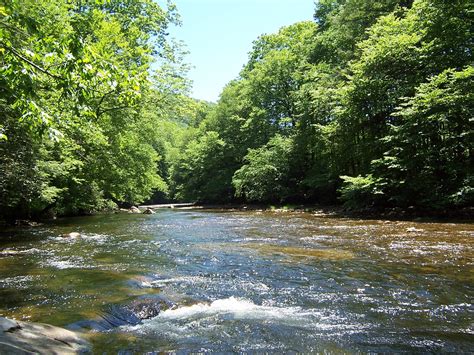 My Very Favorite Wv Trout Stream The Cranberry River Located In The Monongahela National