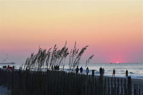 Myrtle Beach Weather In March 2024 Travel Guide