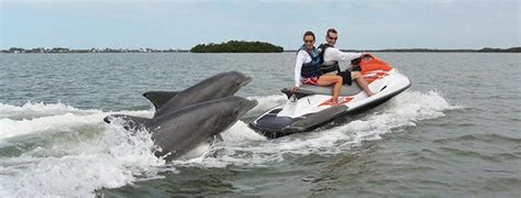 Naples Dolphin Tour Bonita Jet Ski Amp Parasail