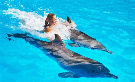 Nasasu Dolphin Swim Along Adventure Island Cruise Tour