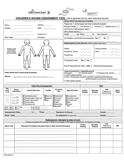 National Wound Assessment Form