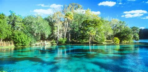 5 Natural Springs Near Destin FL