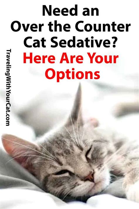 Need An Over The Counter Cat Sedative Here Are Your Options Traveling With Your Cat