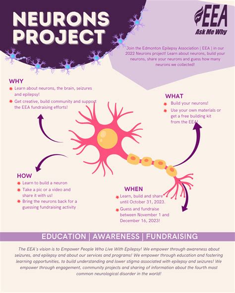 Neuronsinfographic Edmonton Epilepsy Association