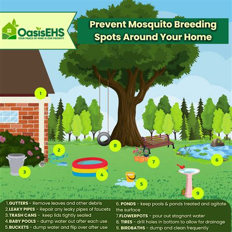 Oasis Ehs How To Prevent Mosquito Breeding Grounds Your Peace Of