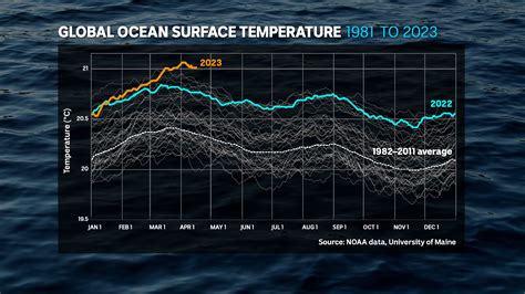 Ocean Temperature In Vero Beach Trends Impacts And Monitoring