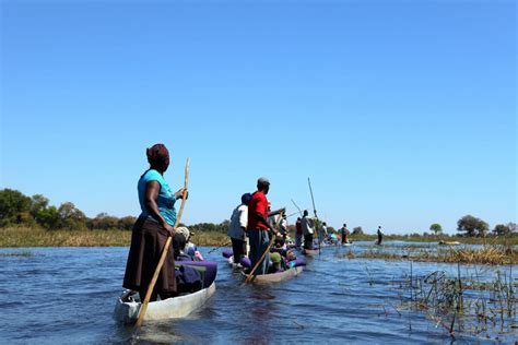 Okavango Delta Travel Guide