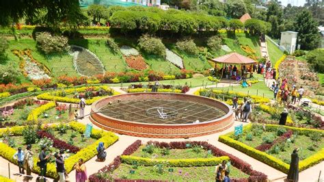 Ooty Tourist Places Ooty Tour Budget Botanical Garden Ooty Ooty