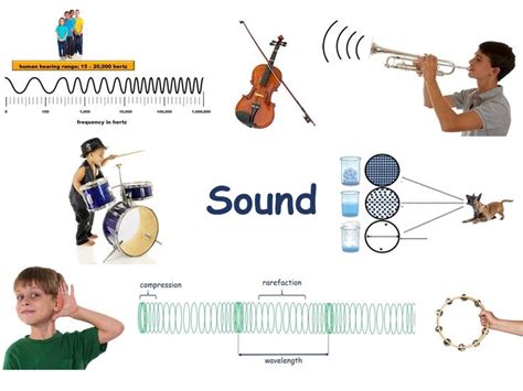 Open Your Ears To The World Of Sound Learn About The Different Properties Of Sound That Shape