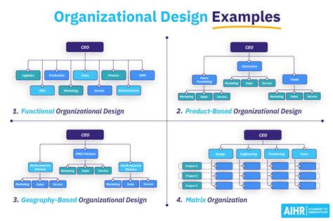 Organizational Design And Structure