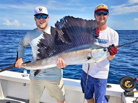 Orlando Deep Sea Fishing Charters Sea Leveler Sport Fishing Charters