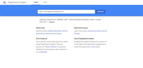 Page Speed Insights Is Not Showing My Website Performance Showing Error