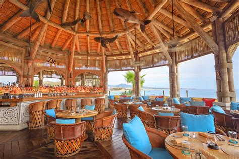 Palapa Lounge Palapa