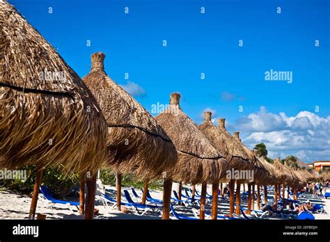 Palapas And Lounge Chairs On The Beach Tulum Quintan Roo Mexico