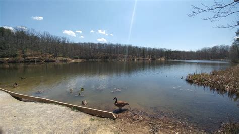 Pandapas Pond In Blacksburg Virginia Great Hiking Location In The