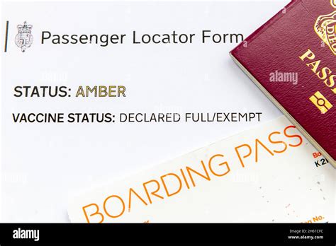 Passport Boarding Pass Passenger Locator Form And Covid Pass The