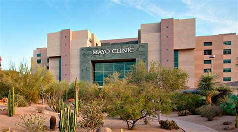 Patient Appointment And Visitor Updates Arizona Mayo Clinic