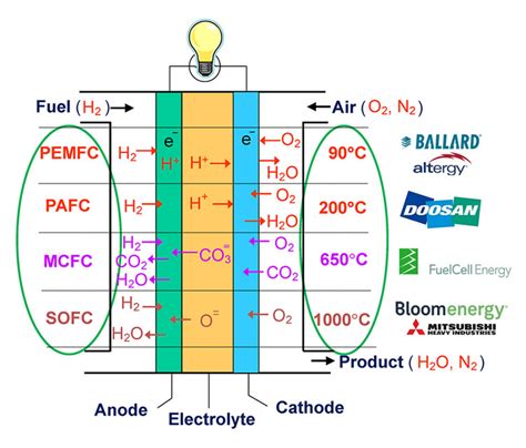 Pdf Fuel Cells Fuel Cell Types And Their Electrochemistry