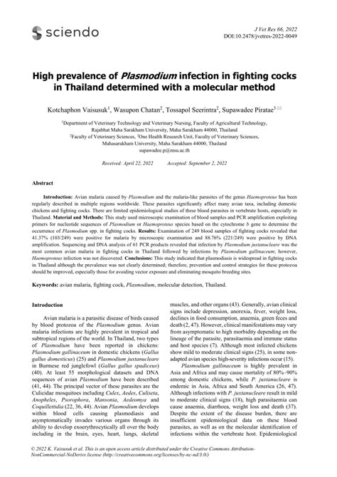 Pdf High Prevalence Of Plasmodium Infection In Fighting Cocks In