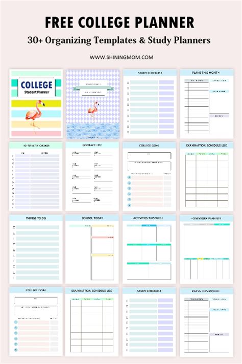 Pdf Reusable Digital University Planner College Planner Study Planner School Planner