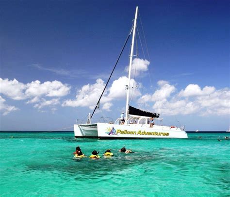 Pelican Adventures Visitaruba Com